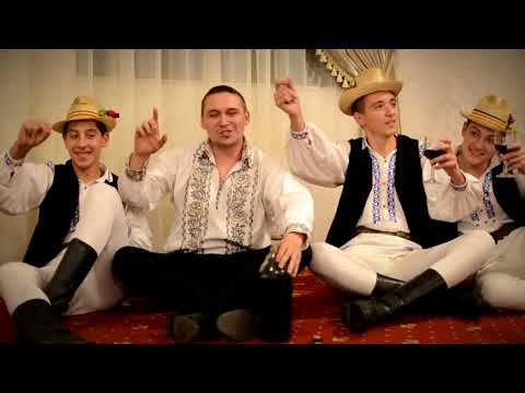 Catalin Stefan - De cand beau cu precinii ( official page )