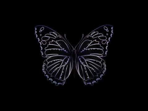 [FREE] [GUITAR] FouKi x Niska x Django DKZ x 7 Jaws Type Beat - Butterfly 🦋 | Rap/Guitar Type Beat