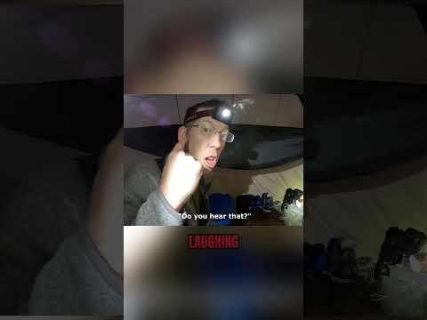 They Weren’t Alone Camping in the Woods…