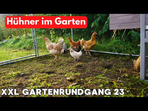 XXL Gartenrundgang F23 | so kannst du Hühner im Garten halten🐓