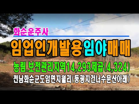 오솔리젓골 영상