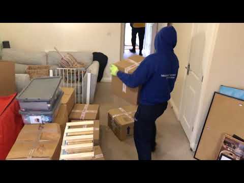 Meerkat Removals video.