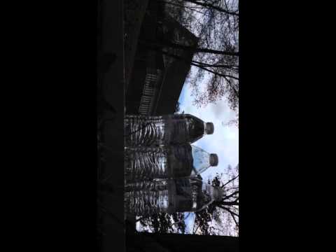 Winchester pellet gun shooting review