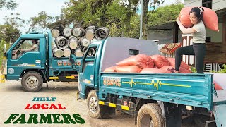 Repair Girl Uses 30-Year-Old Car to Support Farmers During Harvest Season