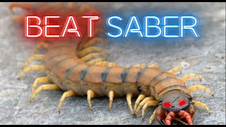 Cover art for Centipede