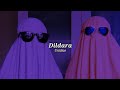 Dildara Slowed Reverb