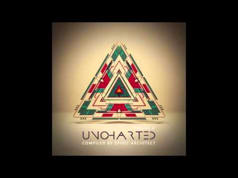 DigiCult vs DNA - Rite Of Passage (Space Tribe Remix) ᴴᴰ