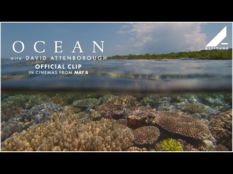 'Scuba Diving' Clip