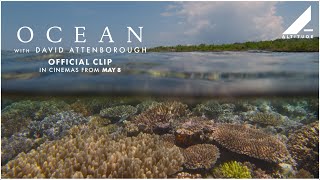 'Scuba Diving' Clip