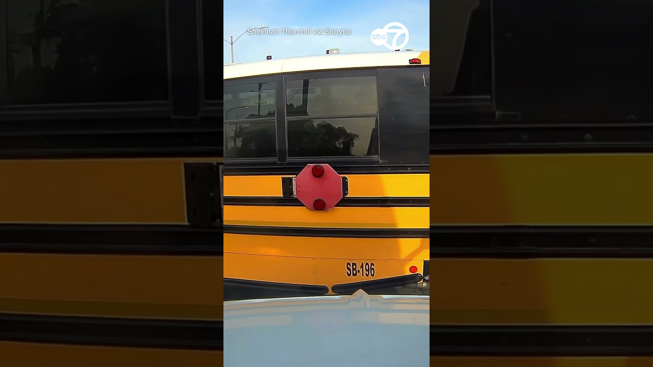 Truck driver avoids crash as school bus appears to runs red light