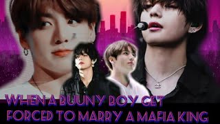 when a bunny boy get forced to marry a Mafia king 