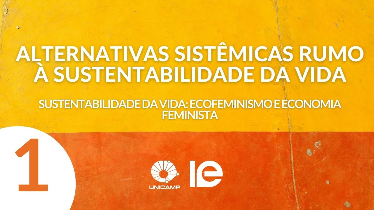 #1 - Sustentabilidade da vida: ecofeminismo e economia feminista