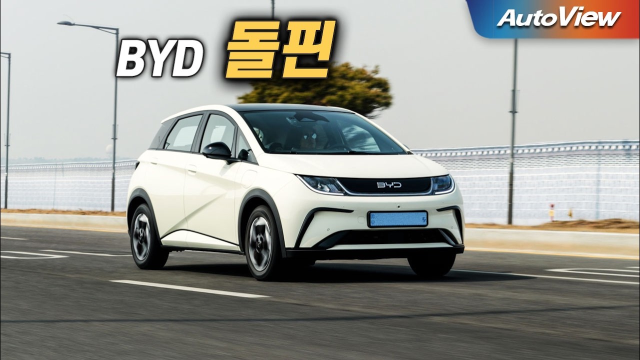 BYD 돌핀 리뷰 [1262회]