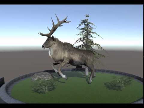 Nordic Deer - Sprint Animation