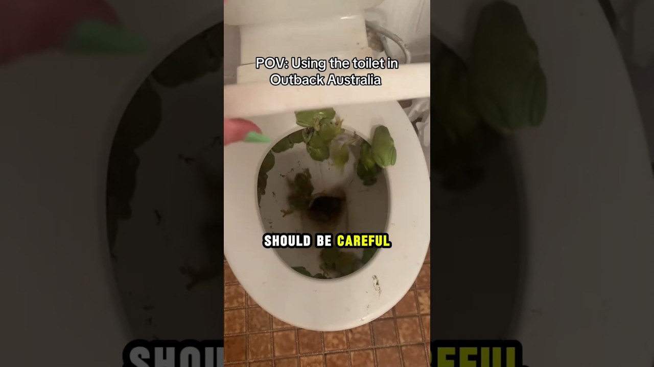 Why Australian Toilets Are a Literal Nightmare