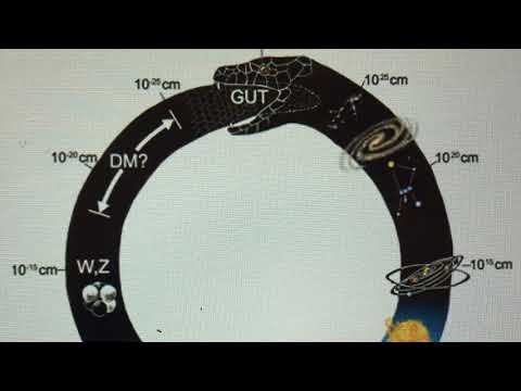 ‘ Ouroboros ‘ Snake eating its own tail. Physicist Klee Irwin of The Quantum Gravity Research.