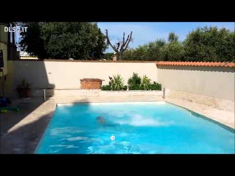 nack - come moscardelli (official video)