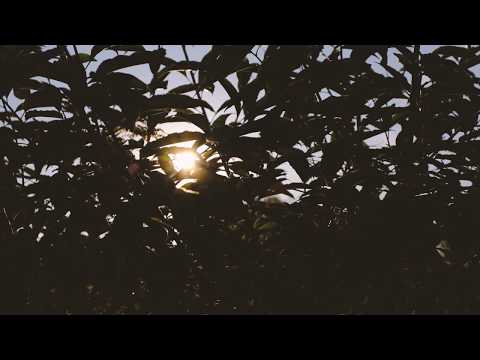 Field recording ambient meditation dj set