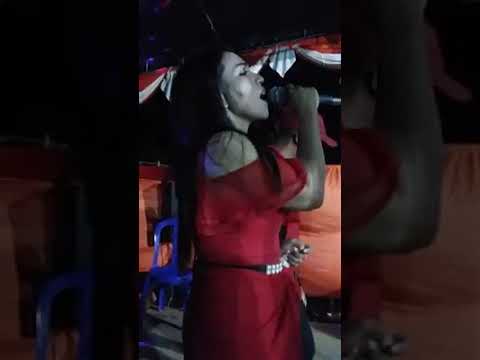 GOLDEN MUSIK ELECONE