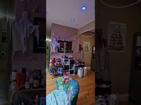 Nice 1 bed in Allston property video