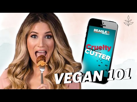 17 Best Resources For Going VEGAN | LIVEKINDLY