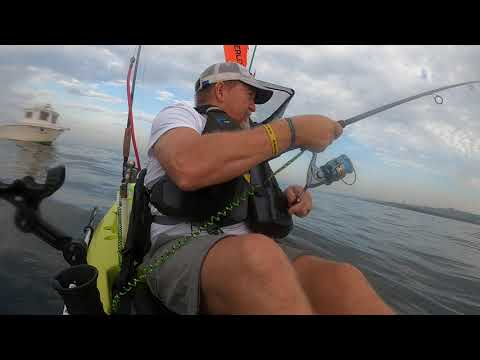 Black Sea Bass,Deep Diver Trolling