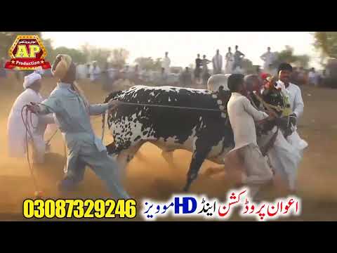 jalsa Karah Dhulli || 2022