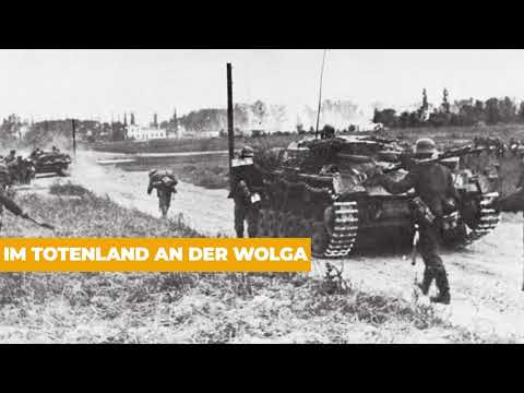 Im Totenland an der Wolga (komplettes Hörbuch)