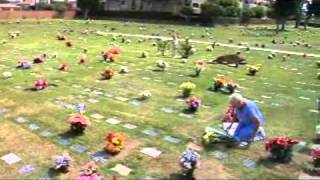 Pet cemetery - 2008-08-06