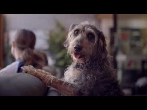 PayMedia Insights: Vodafone Germany Giga Kombi August 2016