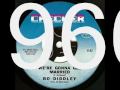 Bo Diddley  - We're Gonna Get Married