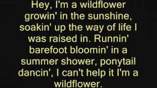 The JaneDear Girls- Wildflower lyrics