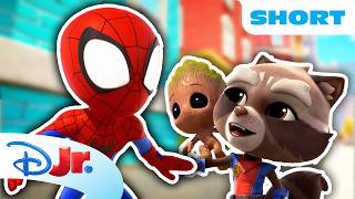 Download lagu Rocket & Groot Are Here To Help | Meet Spidey and his Amazing Friends | @disneyjr mp3 Download lagu Rocket & Groot Are Here To Help | Meet Spidey and his Amazing Friends | @disneyjr mp3