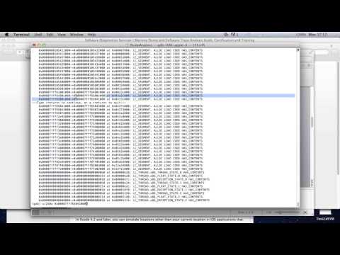 Debugging.TV Frame 0x11 (Windows, Mac OS X)