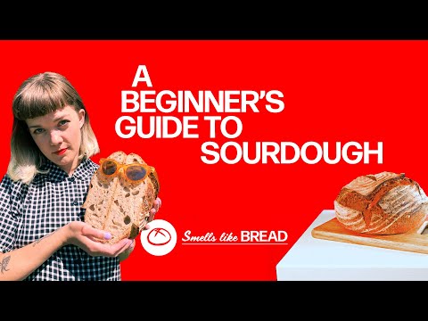 Smells Like Bread: A beginner's guide to sourdough
