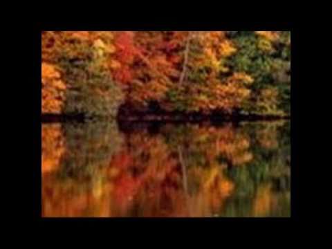 Mister Grant - Autumn Leaves - Alternative Jazz