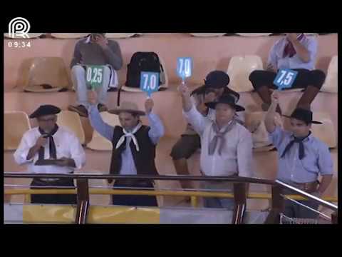 Classificatória Região SC/PR – 3° lugar fêmeas – Sendero Glória (Prova: Mangueira II)