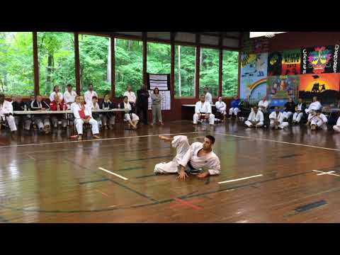 Unsu - Kata Shotokan