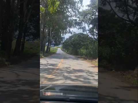Estrada, viagem para Ouro Branco MG. #viagemdecarro #viral #minasgerais #mg129