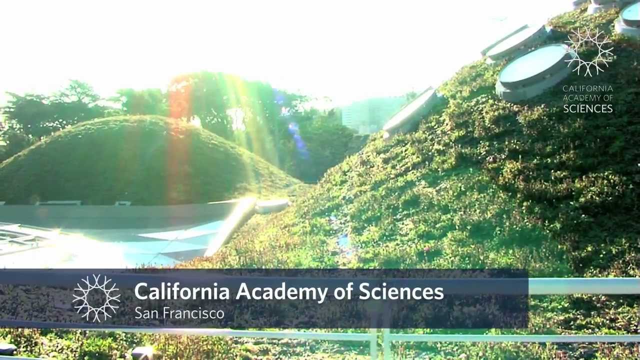 Travel to California Academy of Sciences