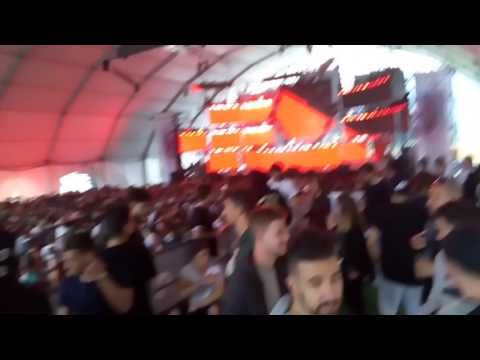 WOW   Daddy's Groove