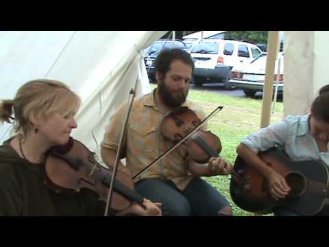 Clifftop 2009 - A new tune in an old style tent
