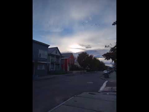 Mixxxzi - Out My Dads Spot Freestyle