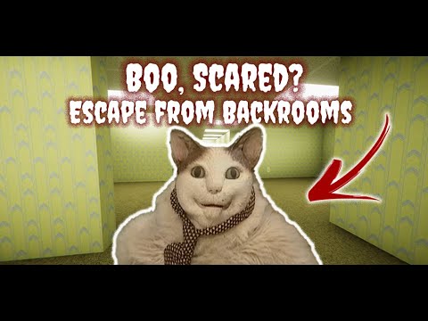 Boo, Scared? Backrooms Escape