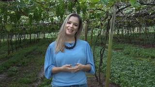 Miniatura do vídeo