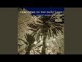 Christmas In The Holy Land Alleluia Of The Midnight Mass Latin