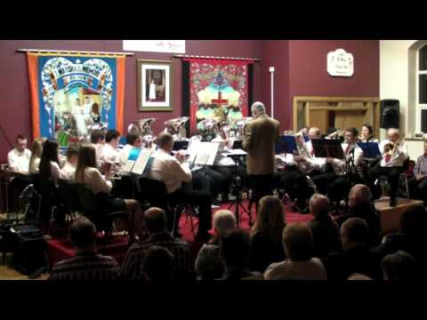 The Bawn Silver Band - The Stein Song