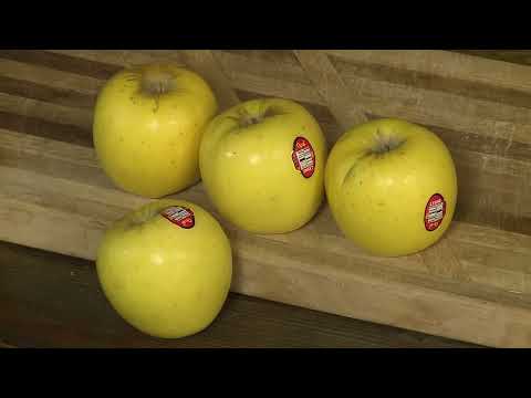 Outstanding Opal Apples