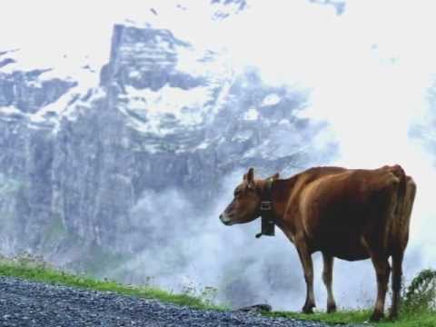 Bligg - Musigg i dä Schwiiz