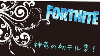 神竜の初キル集(建築あまりしてナィ)